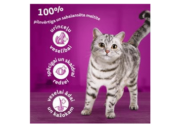 Sausā kaķu barība WHISKAS ar vistu 800g - 2