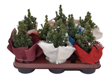 Eglīte ar dekoru D 9cm - 3