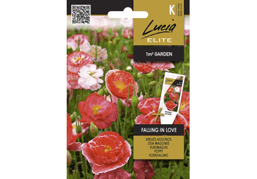 Sēklas.Magones Falling In Love gab.