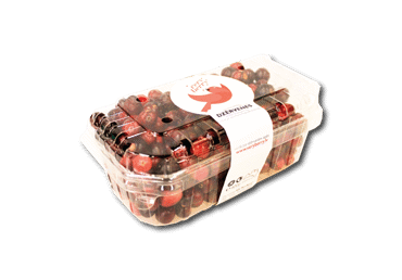 Dzērvenes VERRY BERRY lielogu 400g