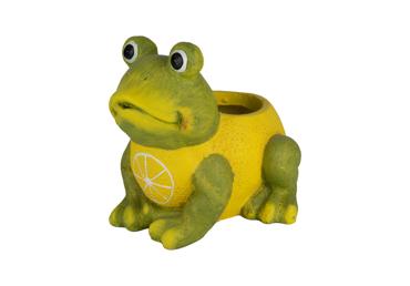 Augu pods ILAJA Lemon Frog 29cm - 2