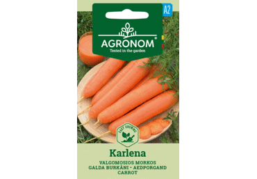 Sēklas: Burkāni galda KARLENA gab.