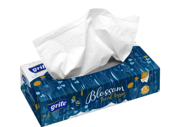 Kosmētiskās salvetes GRITE Blossom 2kārtas