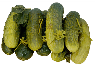 Gurķi sālīti 900g - 2