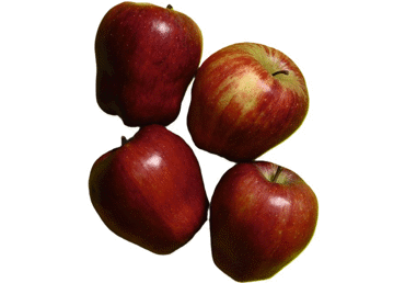 Āboli RED DELICIOUS (CHIEF) 85+ kg - 2