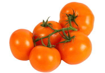 Tomāti oranžie ķekaros kg