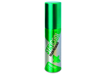 Elpas atsv.STAY COOL ar maigu pipar.20ml