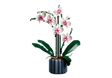 Konstruktors LEGO Orhideja 10311 - 2