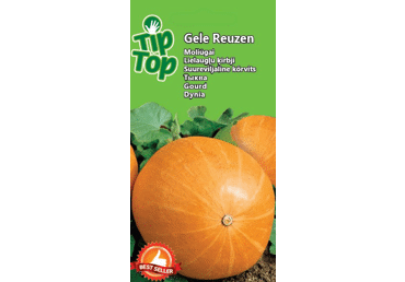 Sēklas: Ķirbis GELE REUZEN gab.