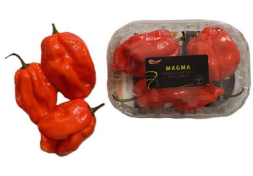 Pipari asie Carolina Reaper 50g