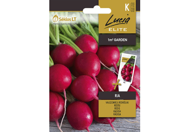 Sēklas: Redīsi RIA gab.