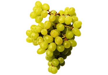 Vīnogas SULTANA gaišās bez kauliņiem kg