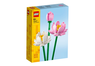 Konstruktors LEGO Lotoss zieds 40647