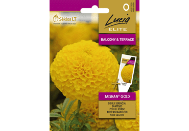 Sēklas: Samtene TAISHAN GOLD gab.