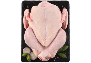 Cālis WELL DONE fas. - 2