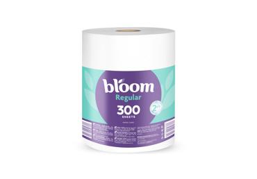 Papīra dvieļi BLOOM Regular 2k.300 lap.