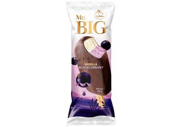 Saldējums MR.BIG vaniļas-upeņu uz kociņa 90g