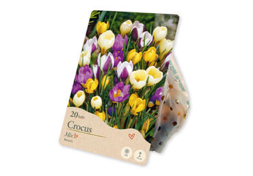 Sīpolpuķes Krokus Botanic Mix 20gab.
