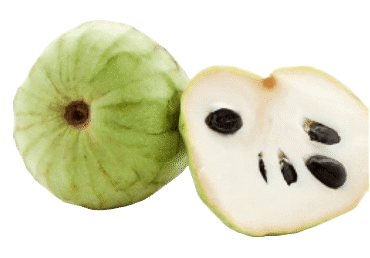 Anone Čerimoja gab. - 2