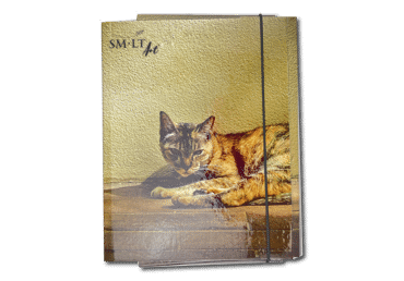 Dokumentu mape ar gumijām GRAFIA PLUS A5 - 2