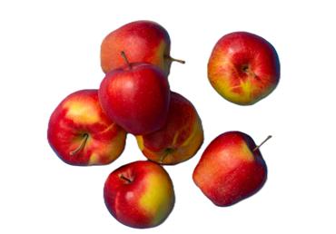 Āboli Polijas 65+ kg - 1